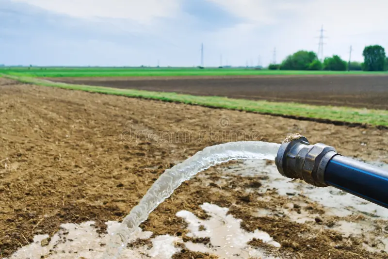 services-03 Water Flowing Hose Field Agriculture Irrigation To Dry 41843934